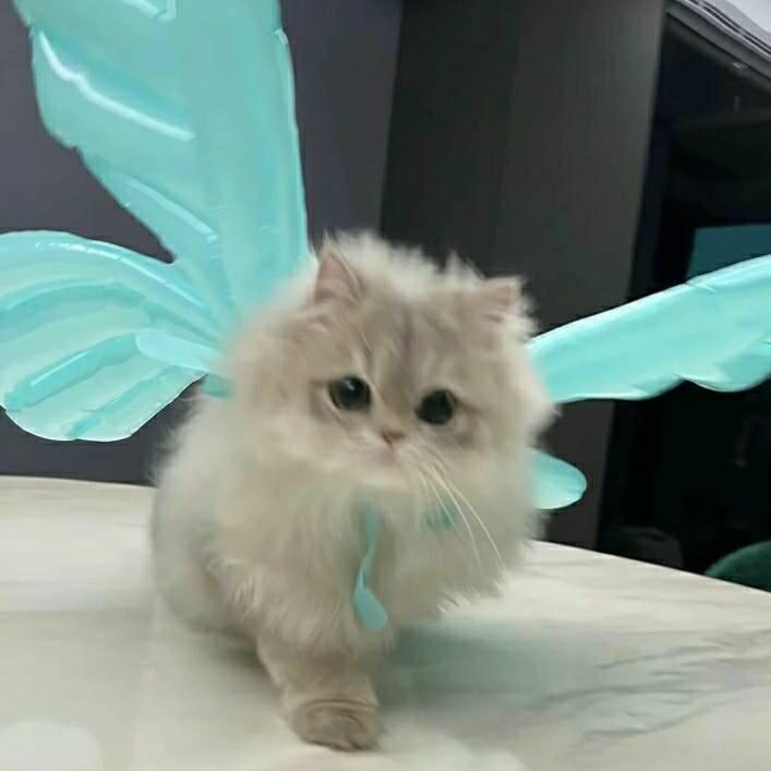 零碎季