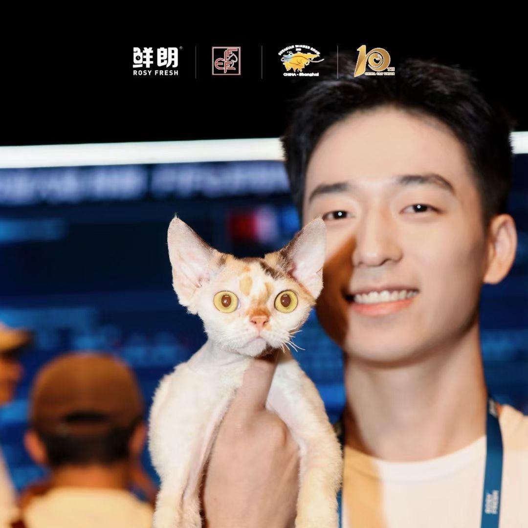 爪印火伴德文卷毛猫