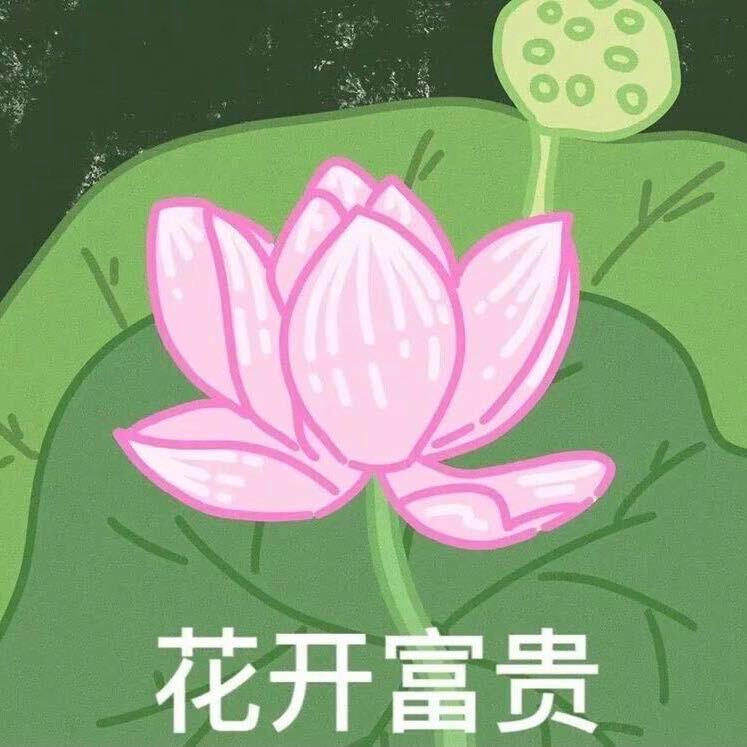 钱多多～