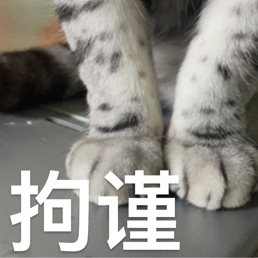 爱喝柠檬茶的柴先生