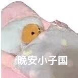 要不你报警吧
