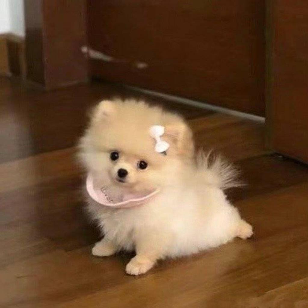 Zeroxzxz
