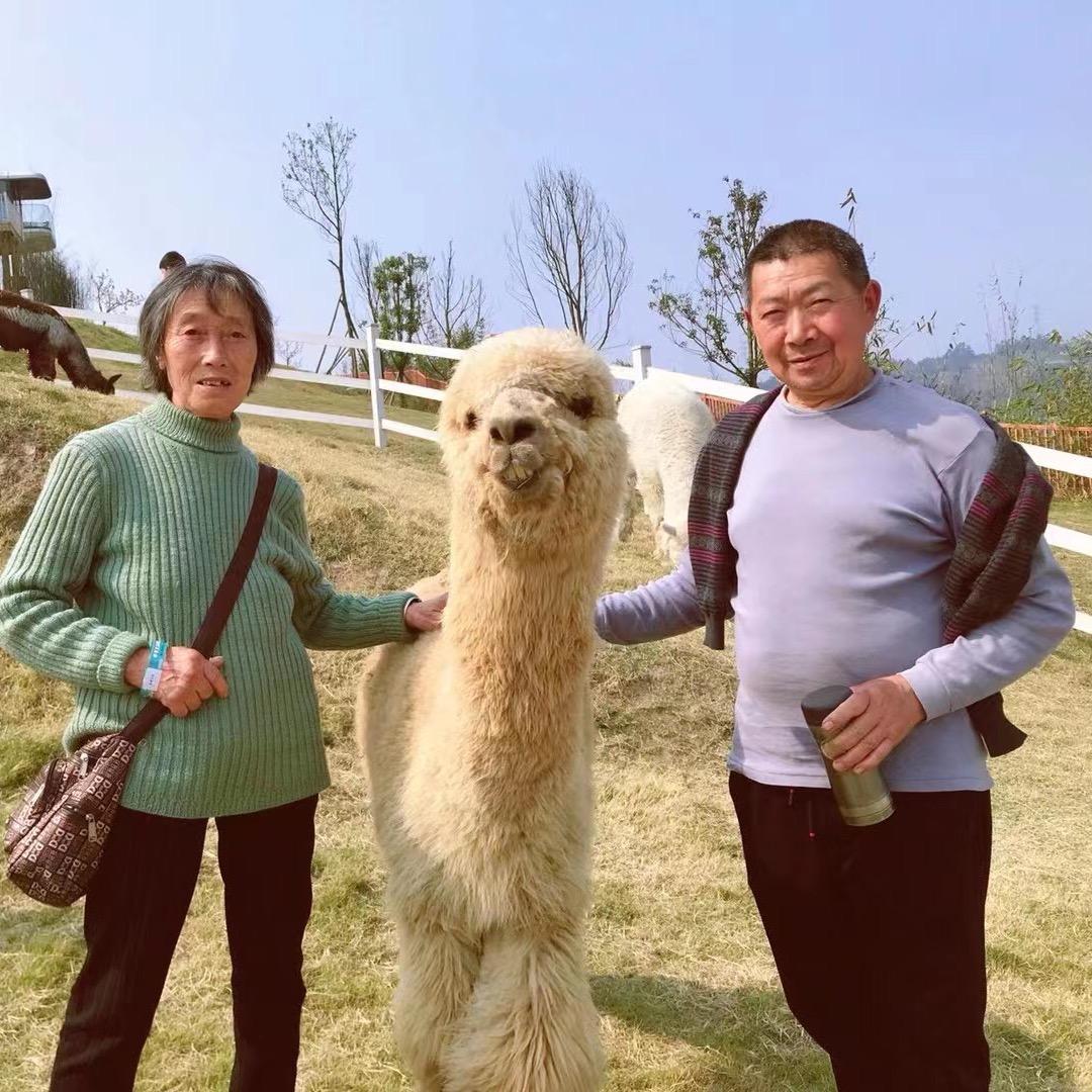 ☺️平安喜乐！