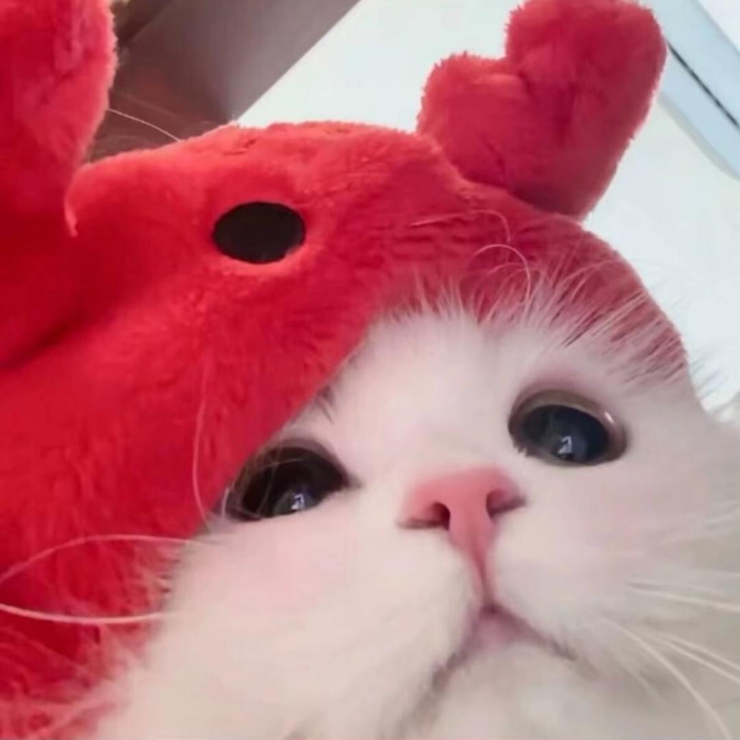 Yy（是个帅哥）