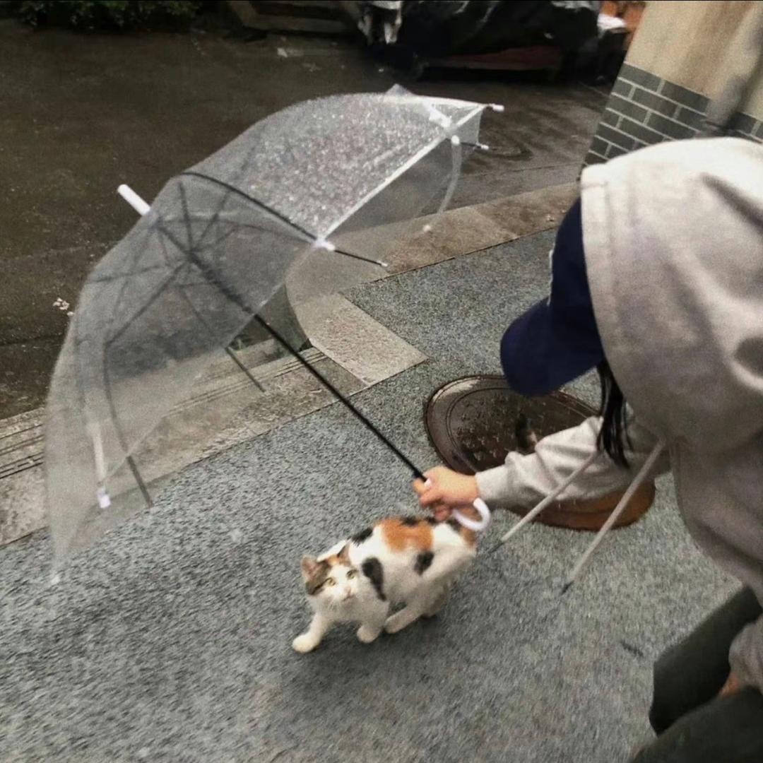 黄哈哈。
