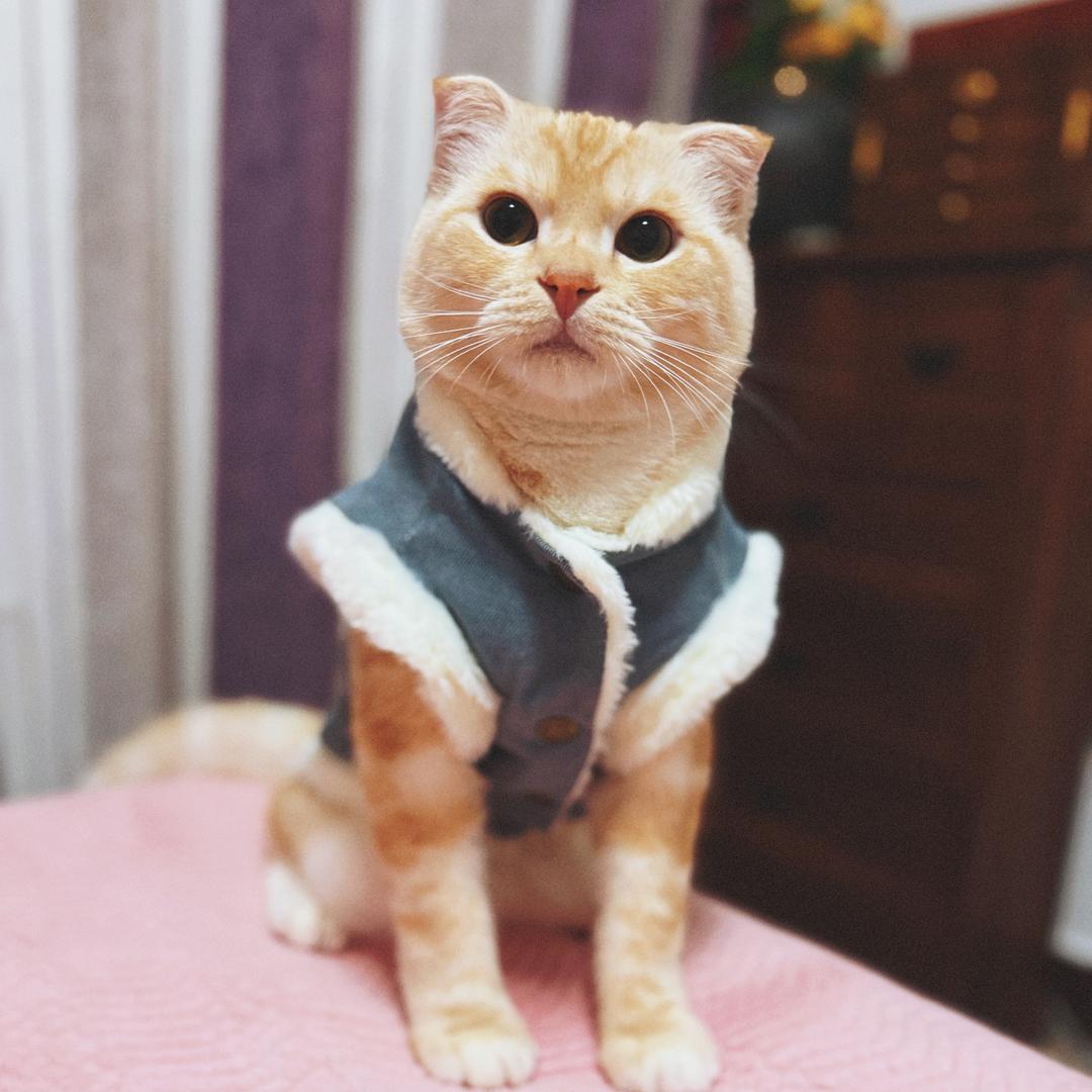 柒ᨶ႒ᩚ 喜💰᭨ᮩ໊ഒᩚ࿐