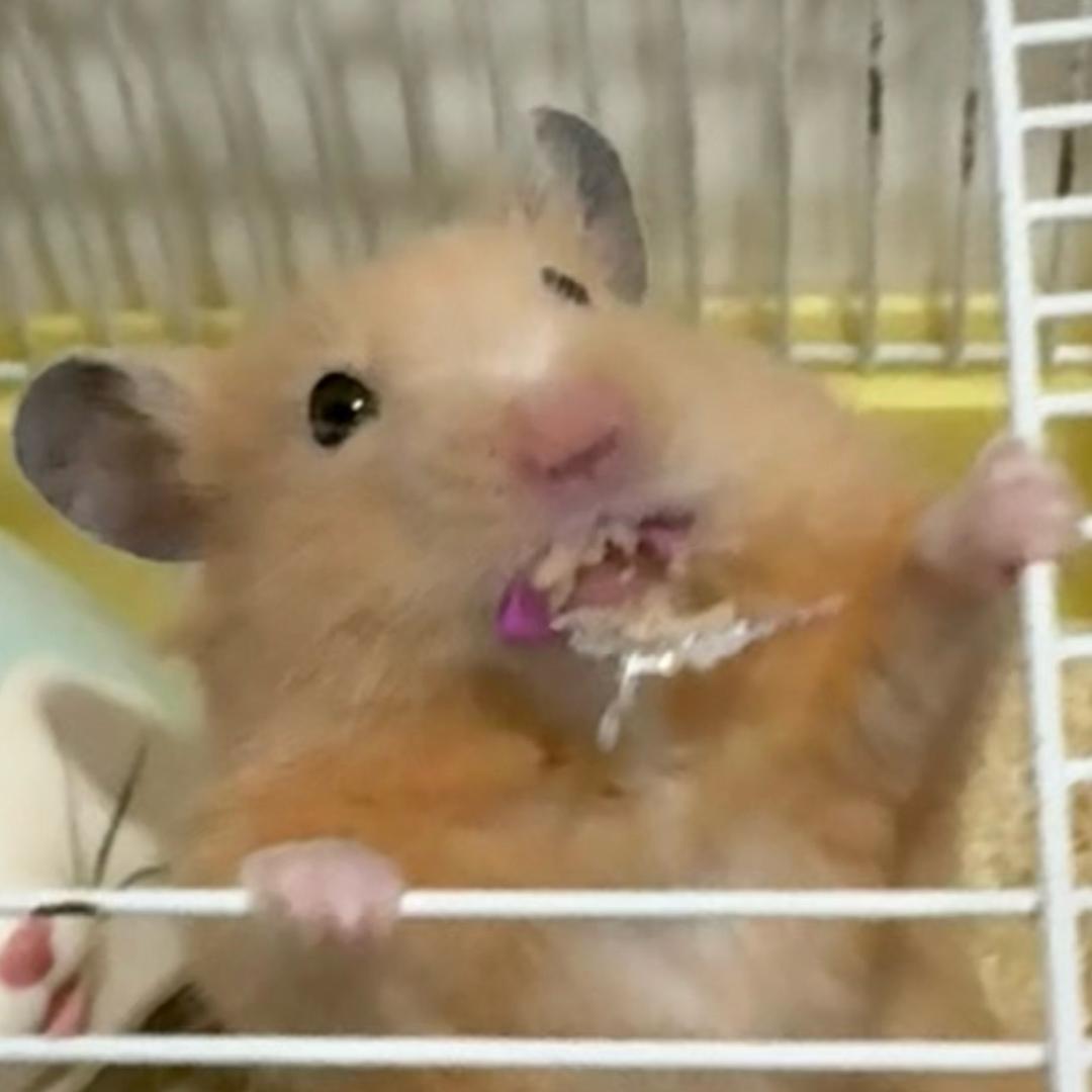 路程～