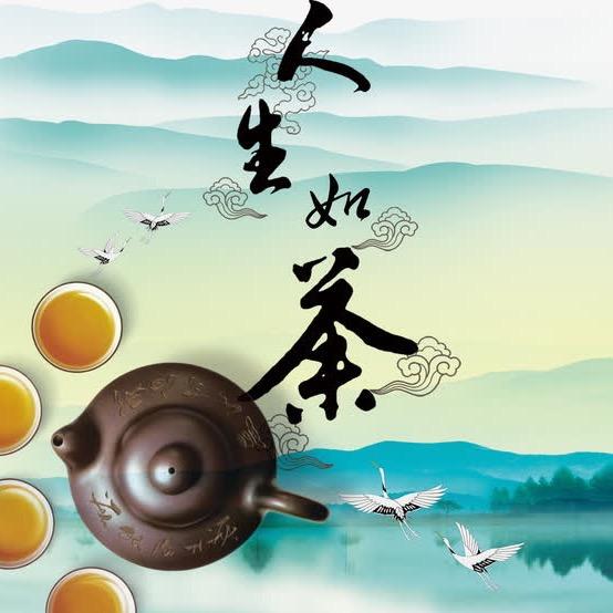 安静是一种美，拒绝噪音！