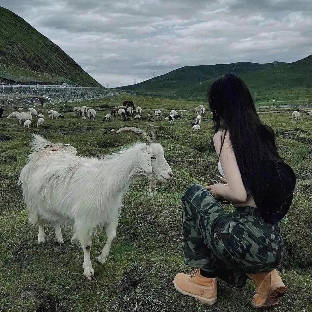 田  晓