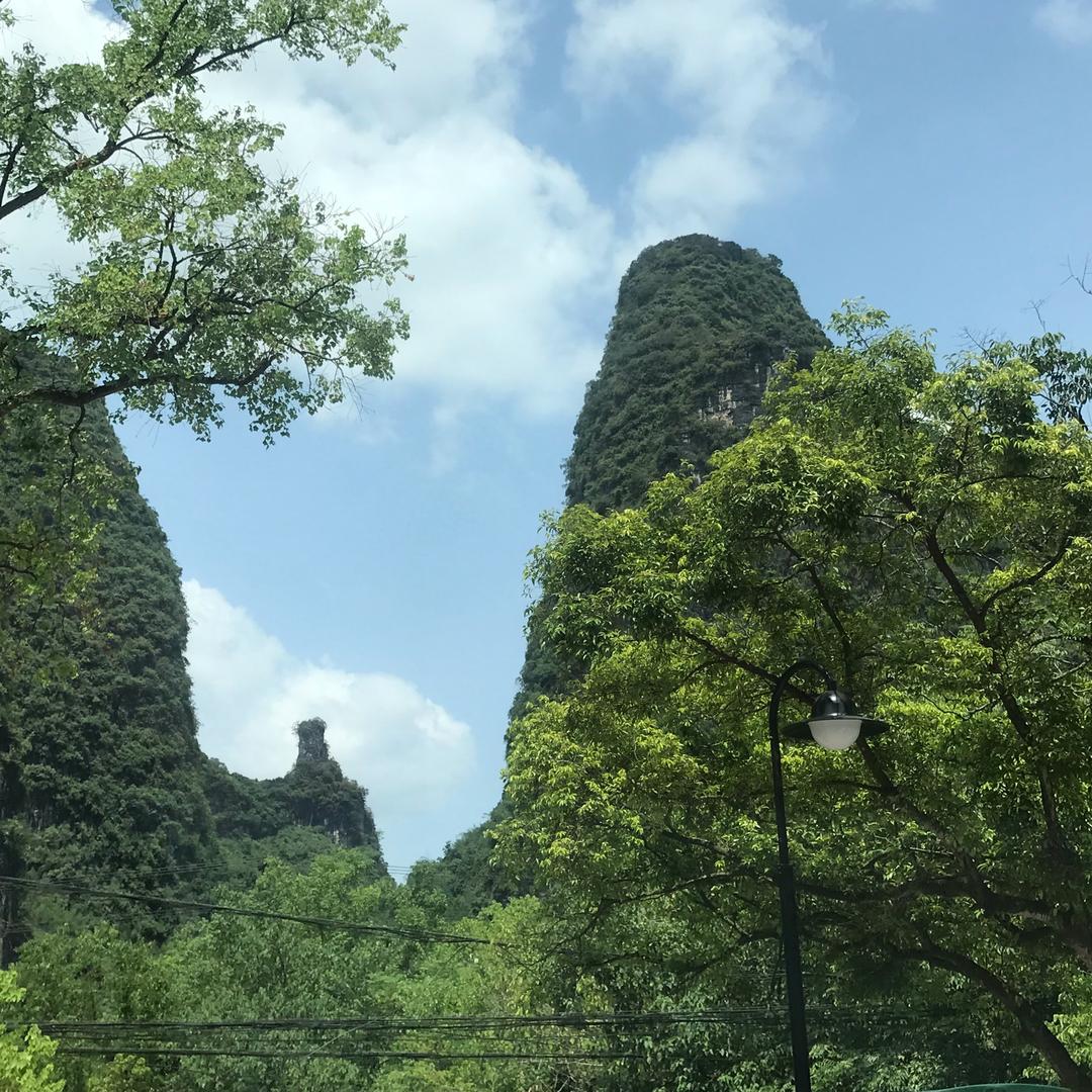 ❄️雪中情❄️