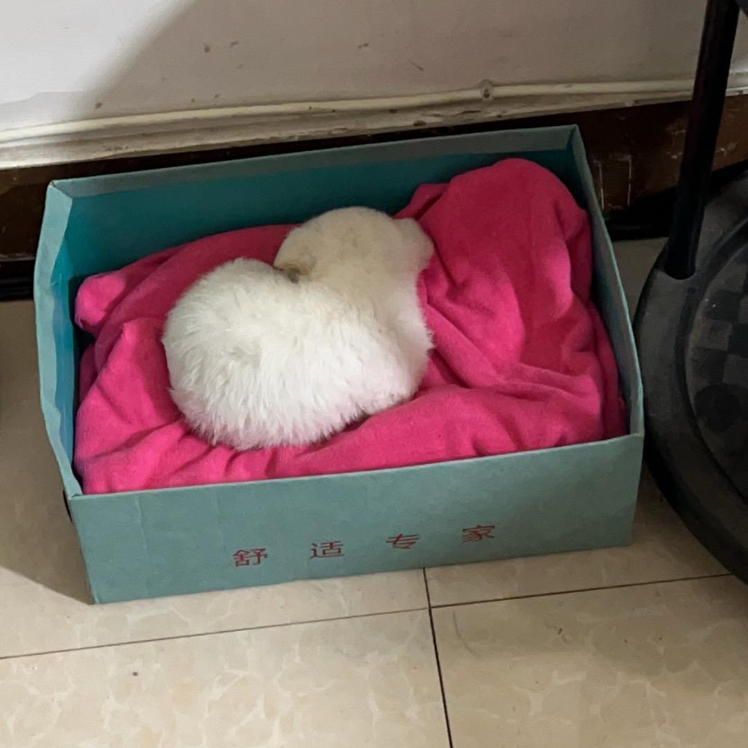 山月❤️
