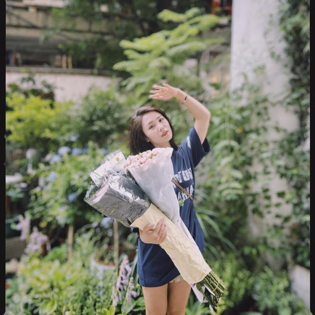 狐狸2（大象308）