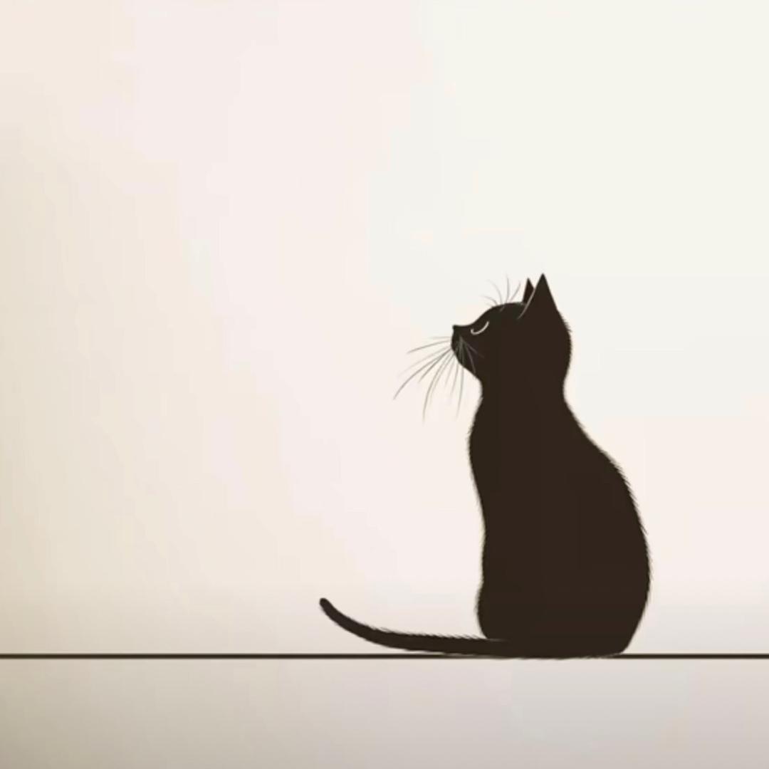 🐾