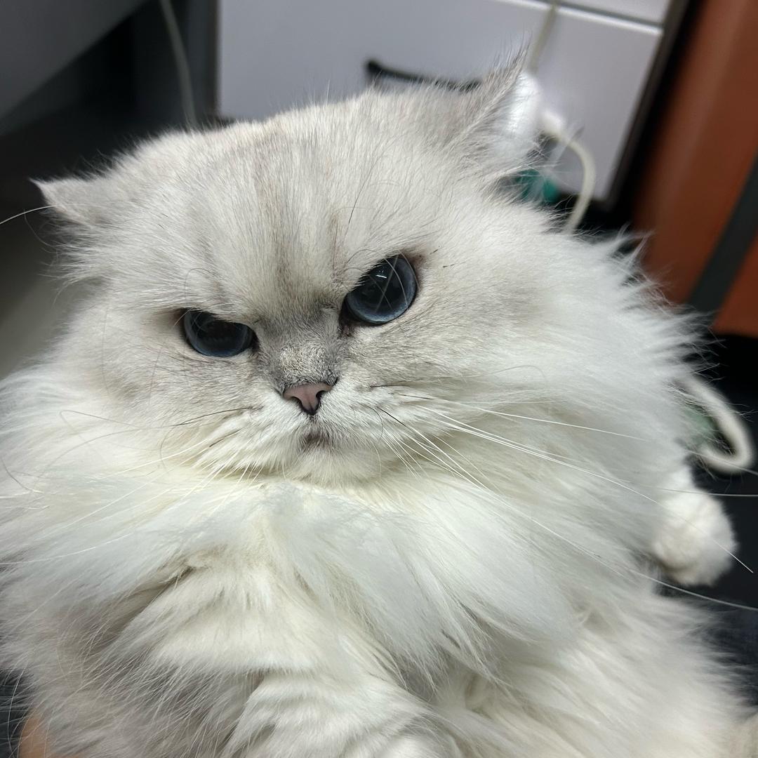 霉柿吧˚.🧸