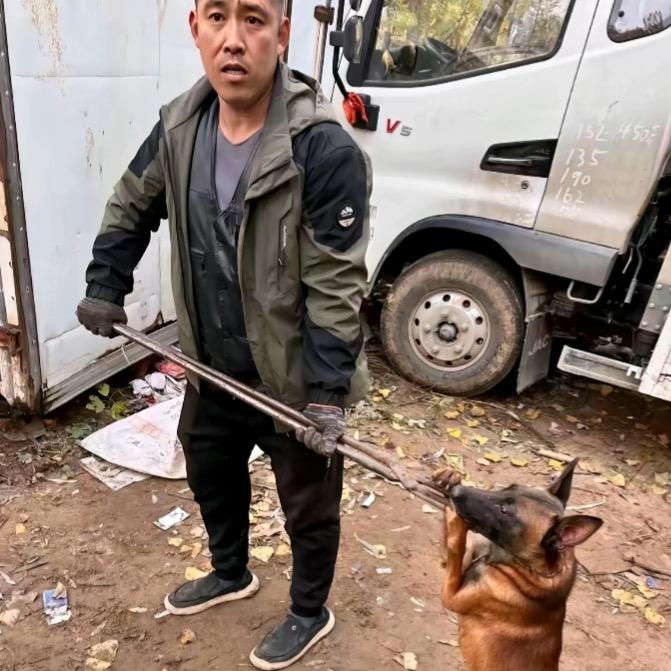 套狗曹师傅（专业套狗20年）