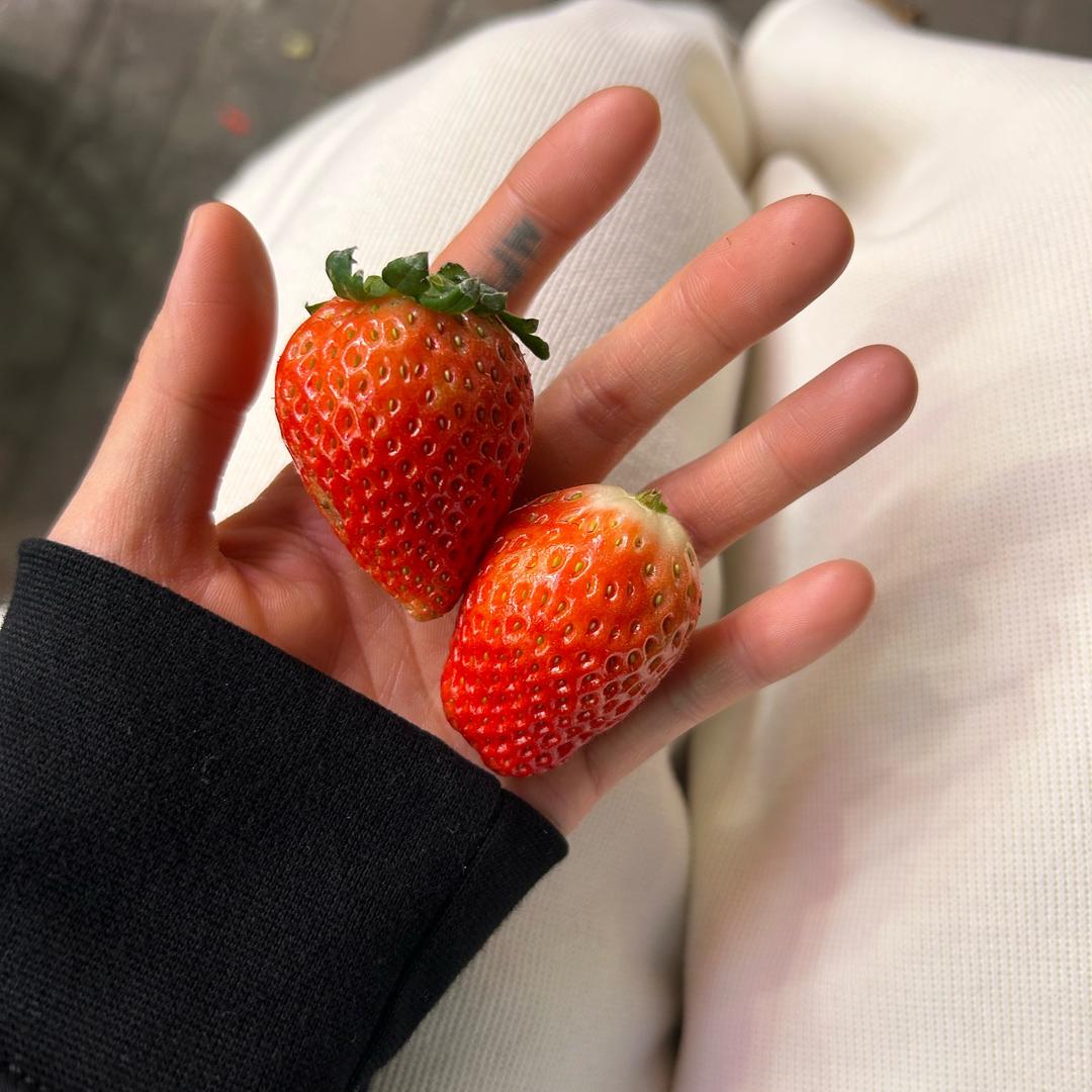 温柔给我
