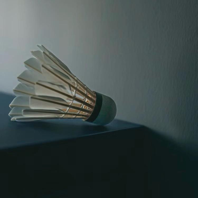 奕动体育🏸