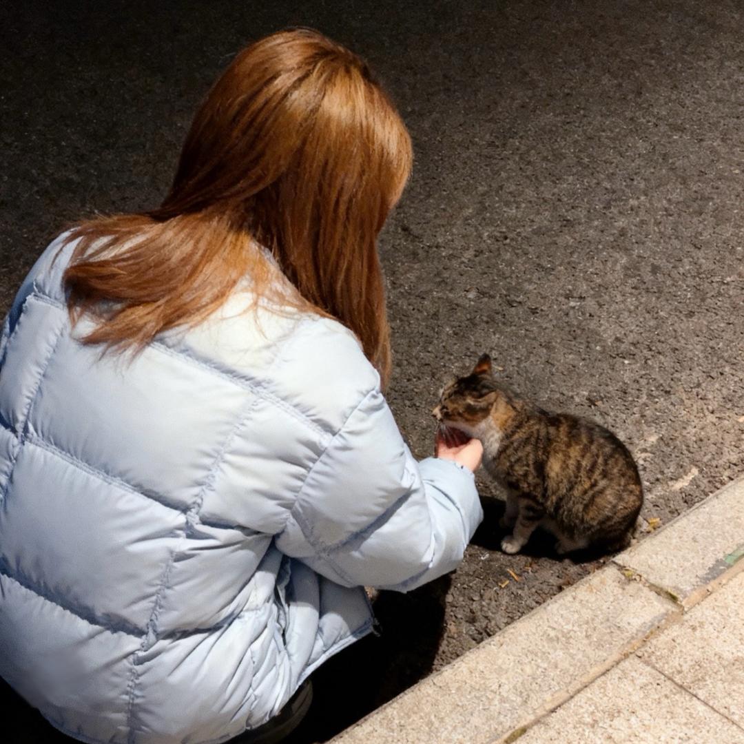 °✿゛桔梗花花°