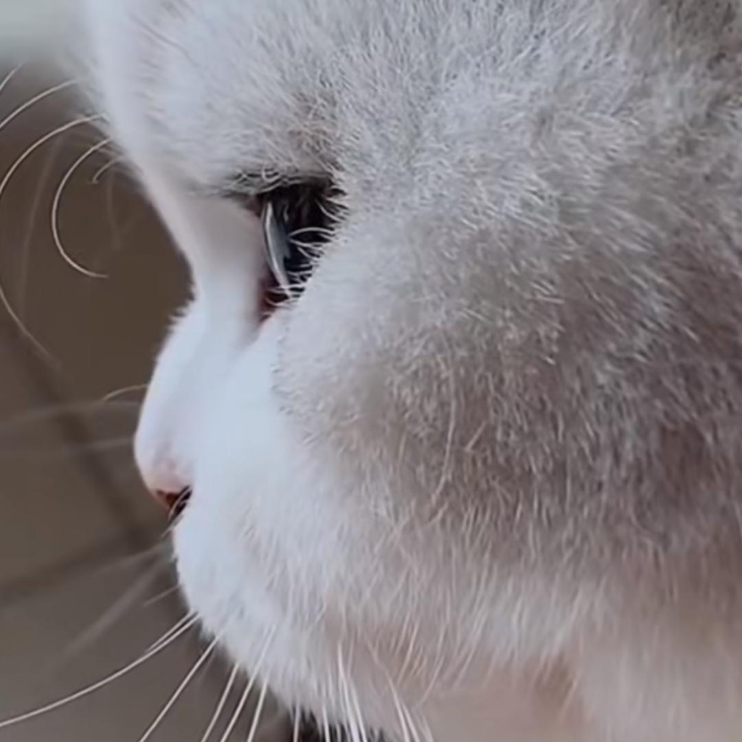 挖掘好书