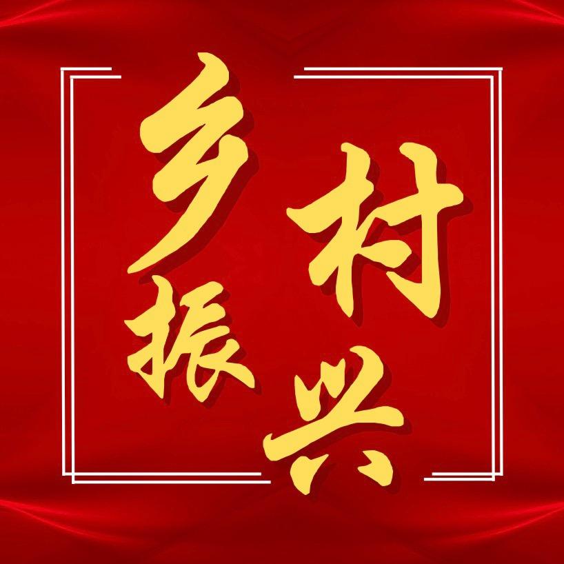 乡村振兴研究员