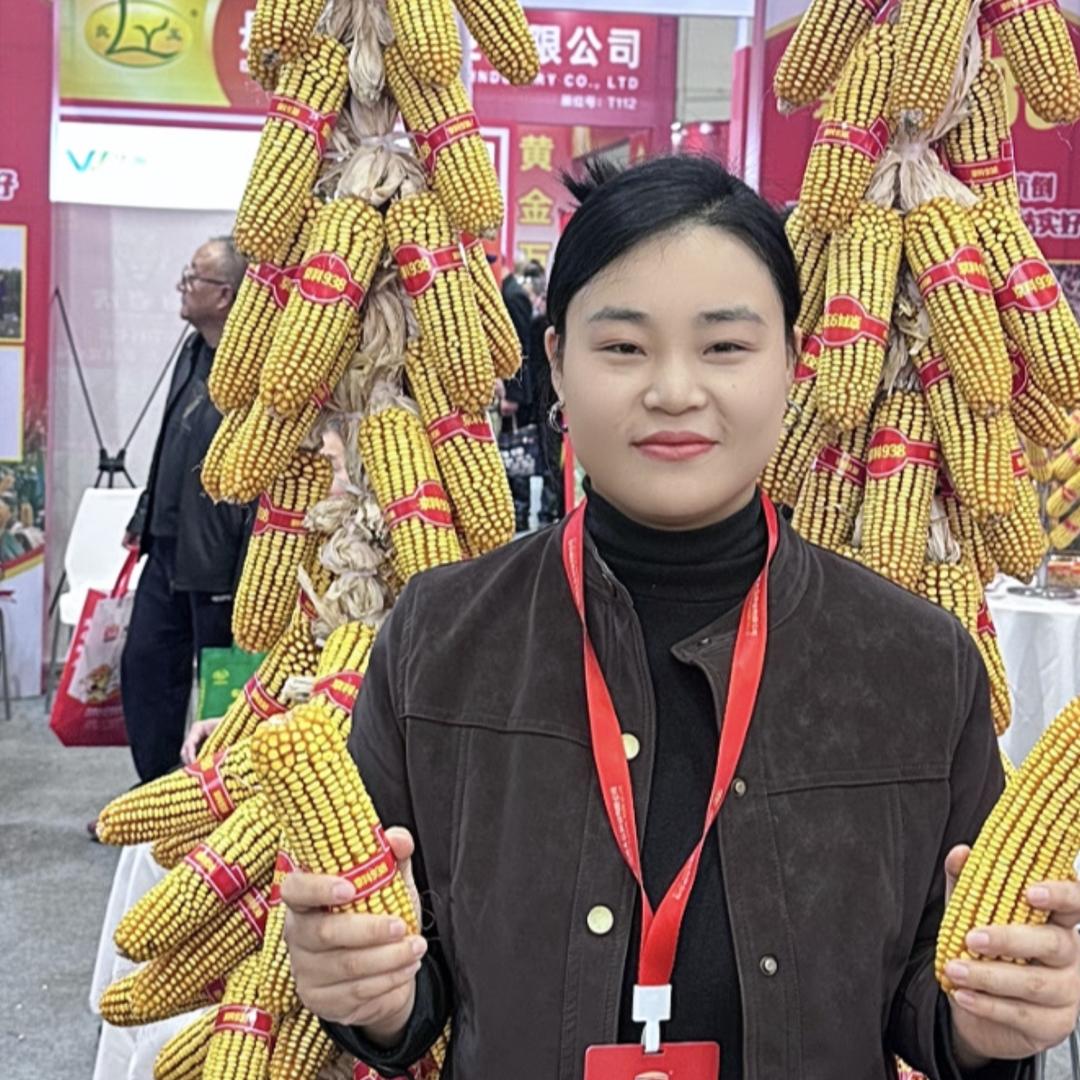 金满地（直营店）