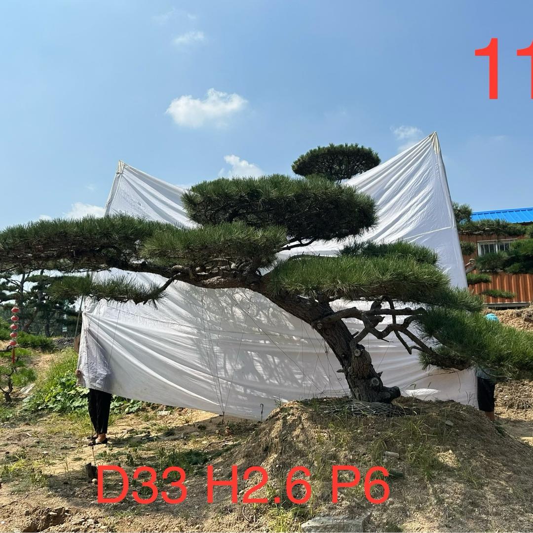 嘉城园林