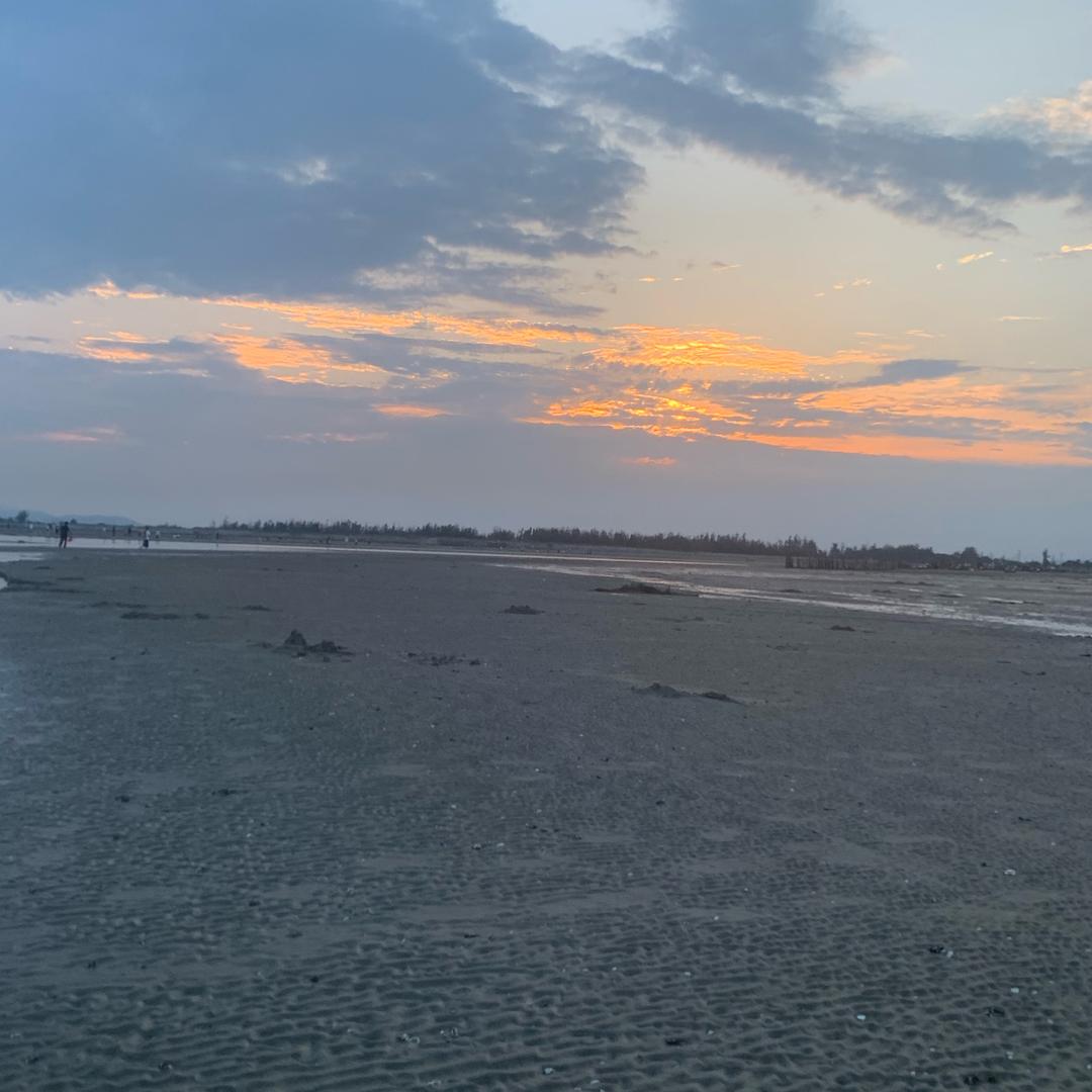 ༄༅送你🌸🌸༃