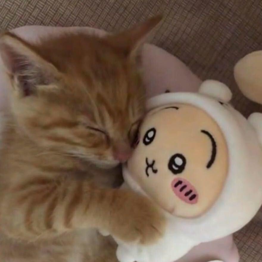 Hug