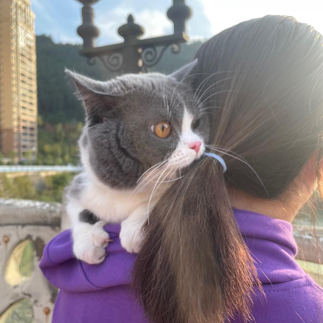 南江小李房产咨询