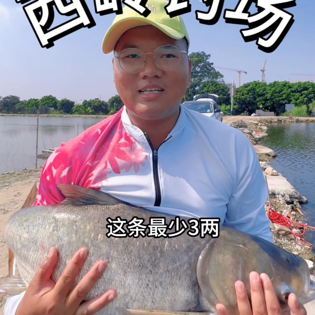 广州莱宾斯钓具商行