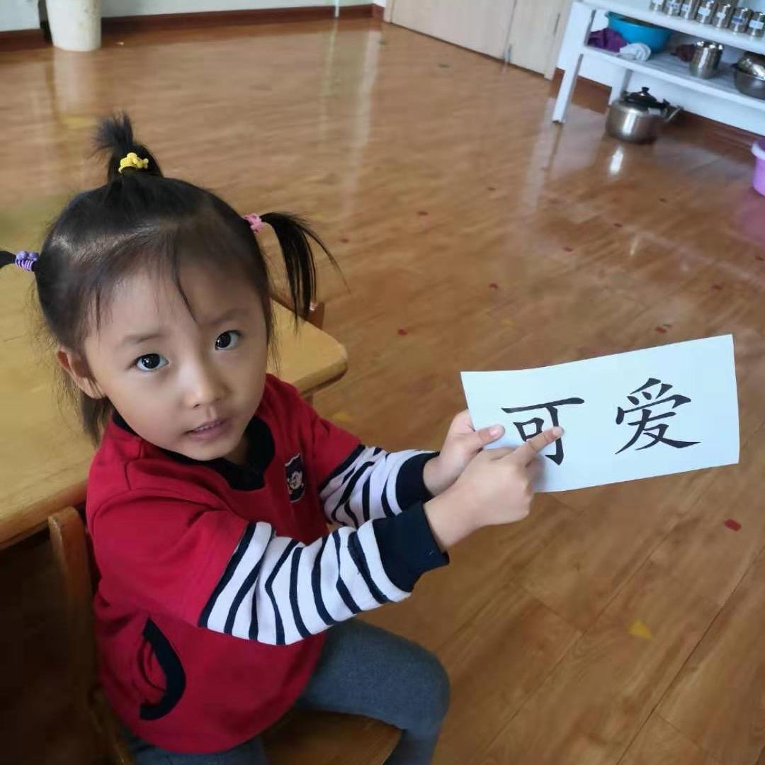 倔强的萝卜SKN