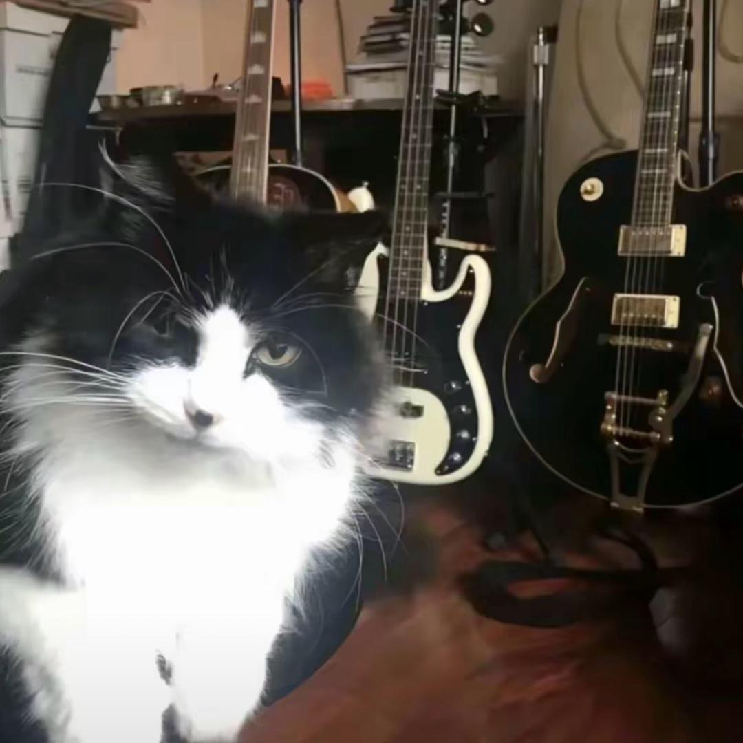 宇宙无敌霹雳旋风土豆