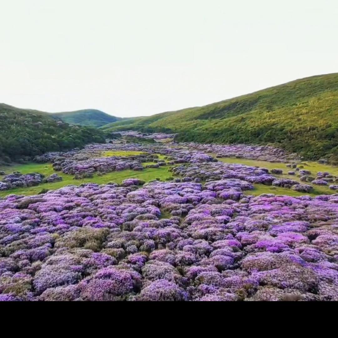 阳光下的小妞💫