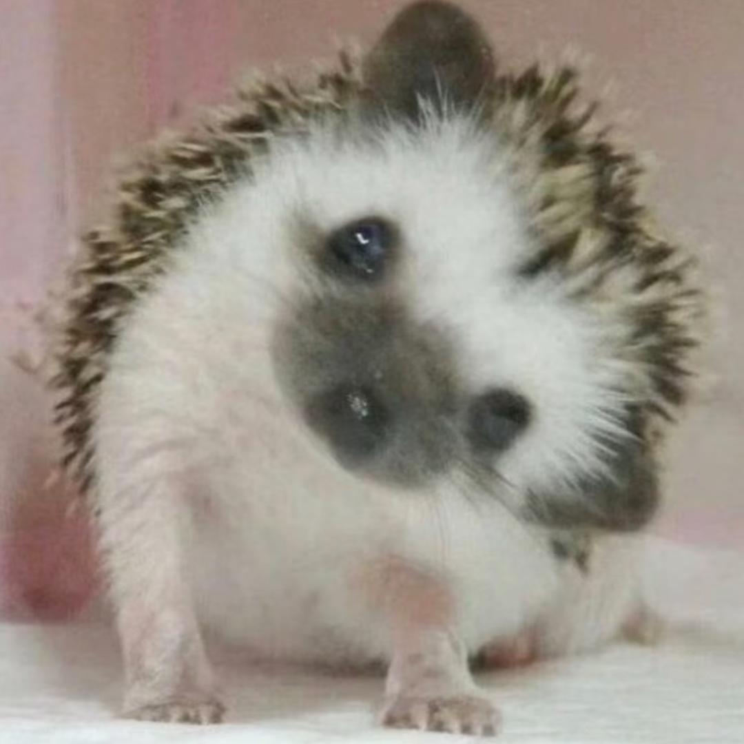 Lulvv