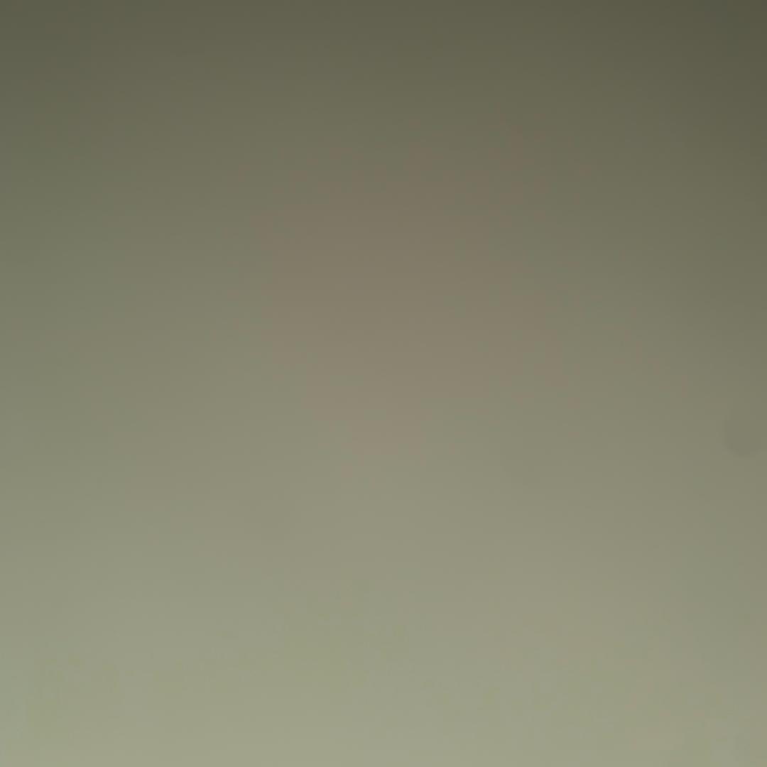 曲奇