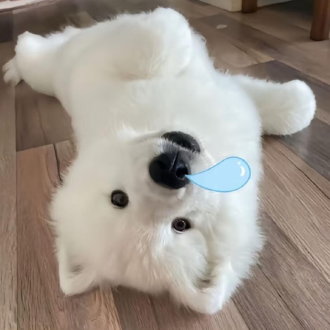 妮妮同学🫧