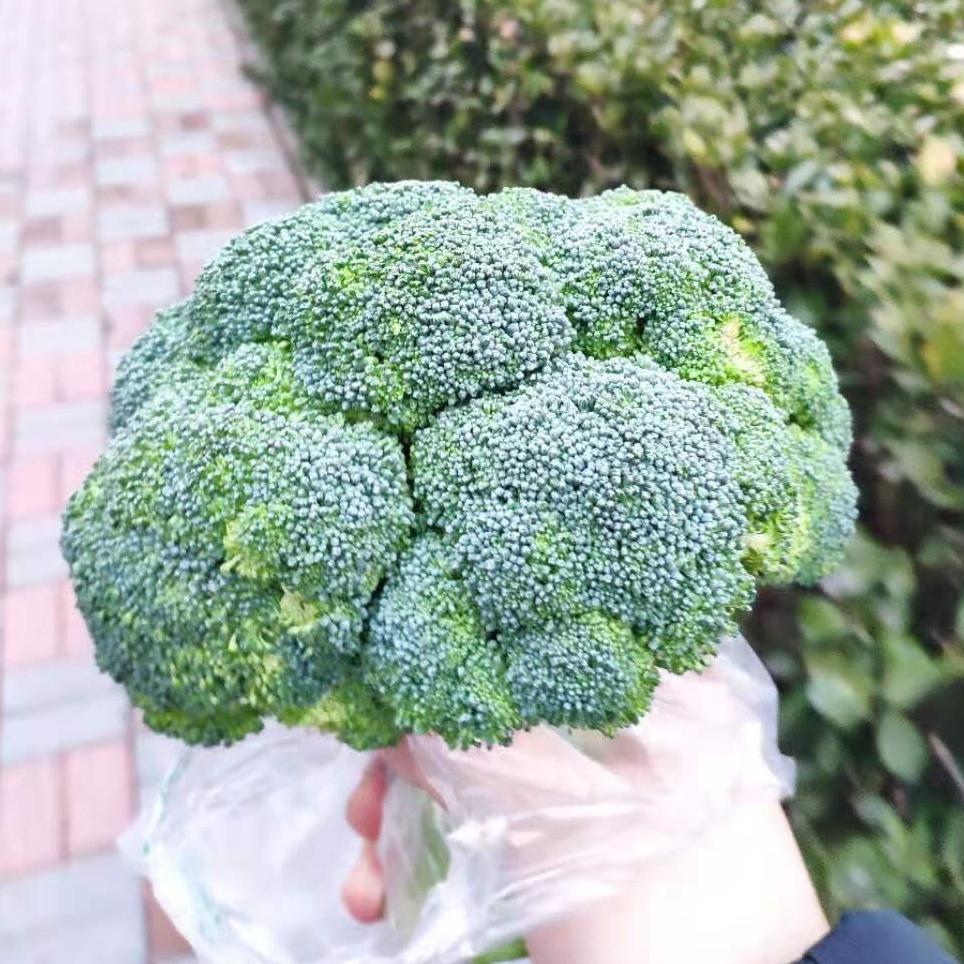 170的小肚子