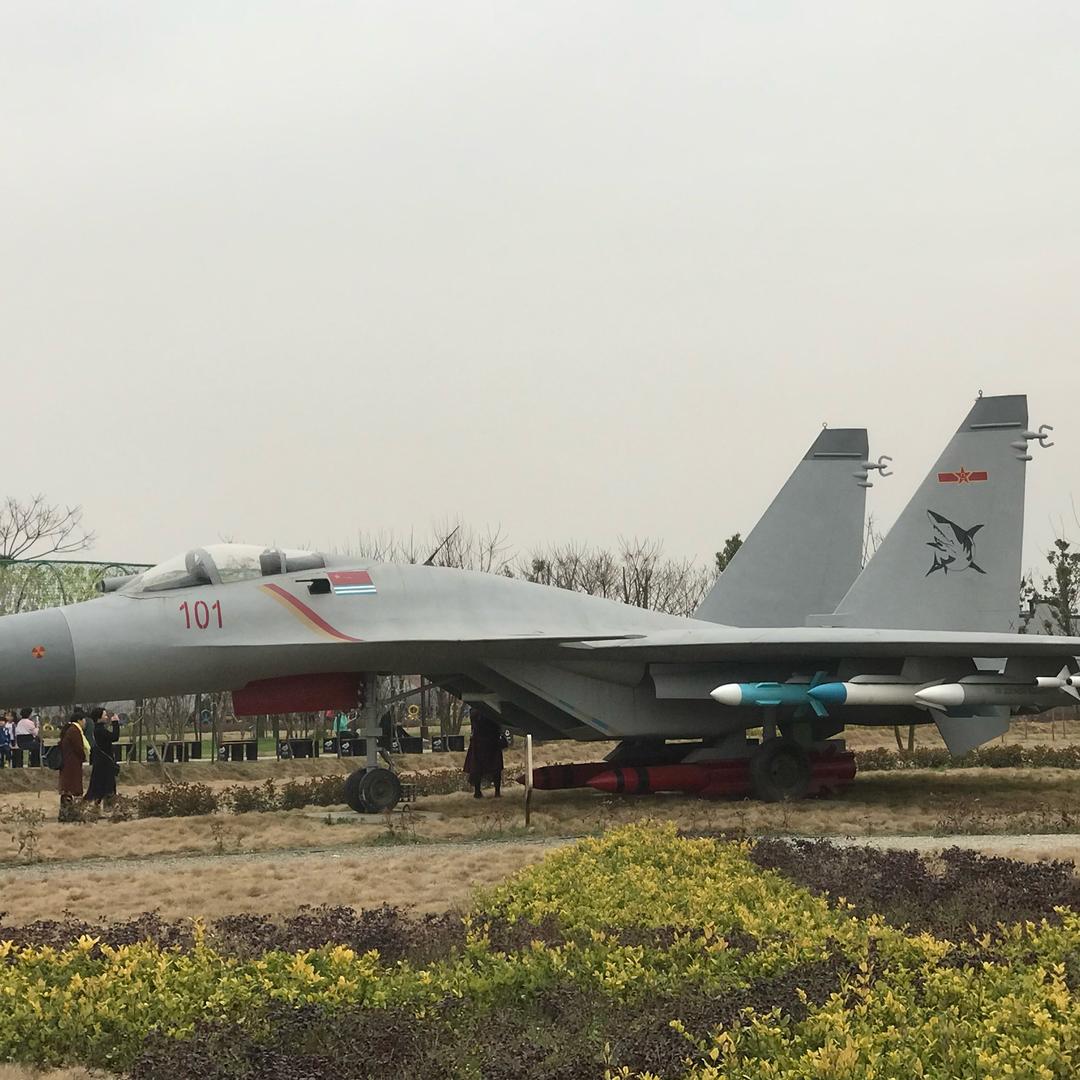 那个开战斗机男人