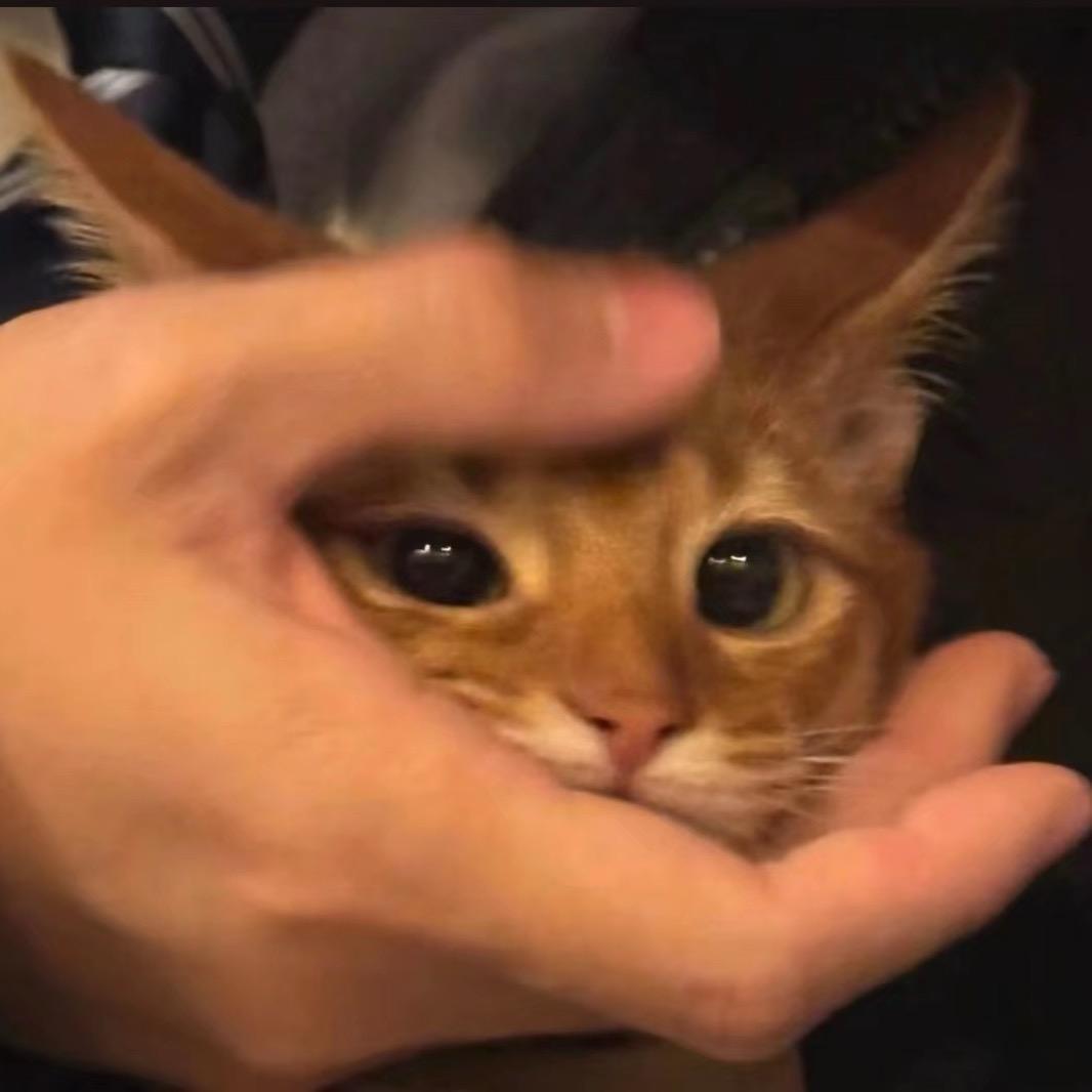 看不见