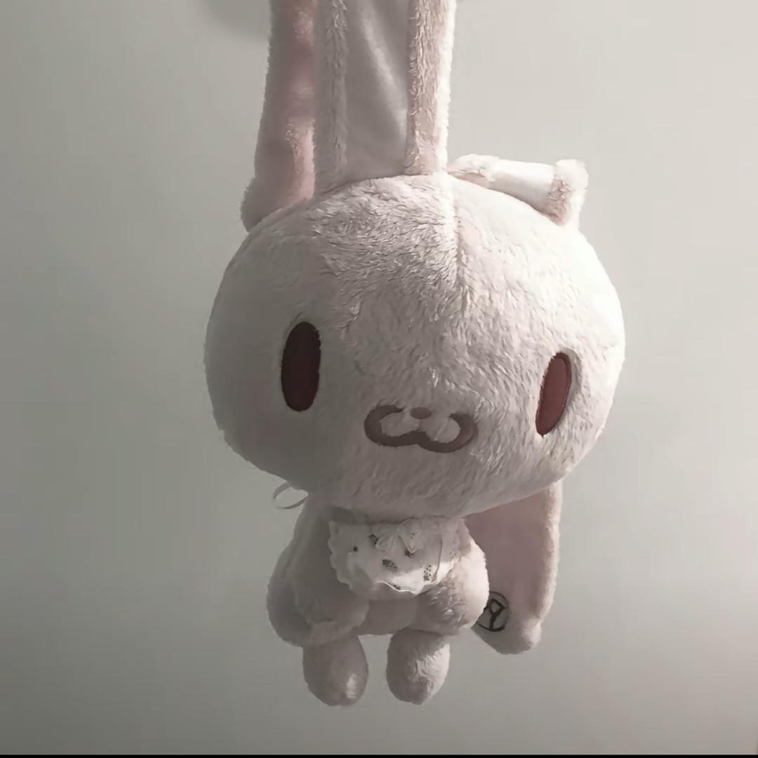 Y