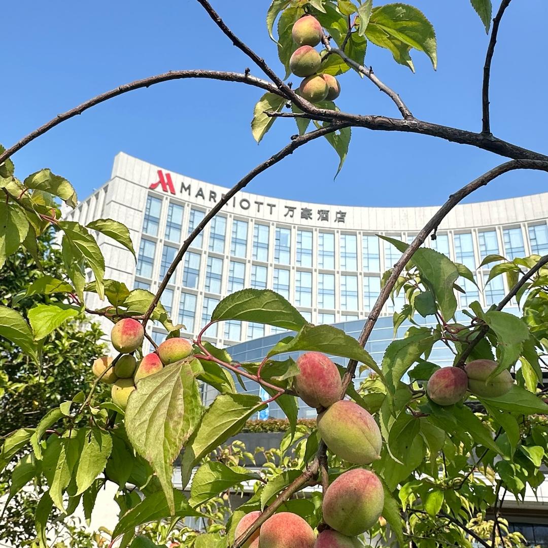 李洪武（重贝纺织）