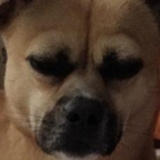 泡泡的沉浸式收纳