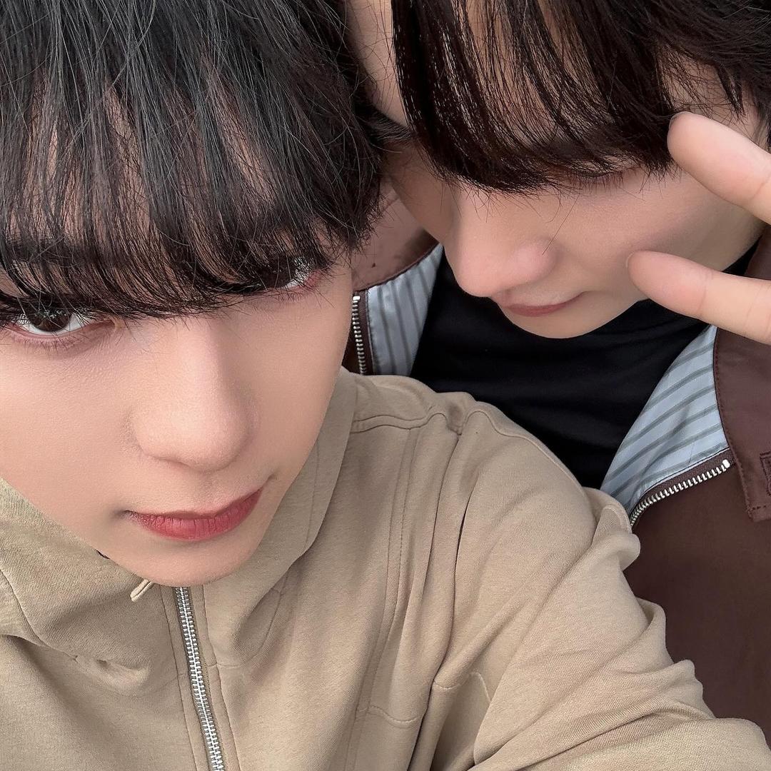 TXMATX🍅（磕cp上头版