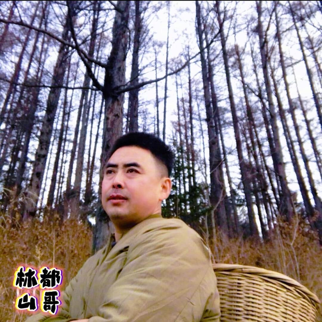 林都山哥