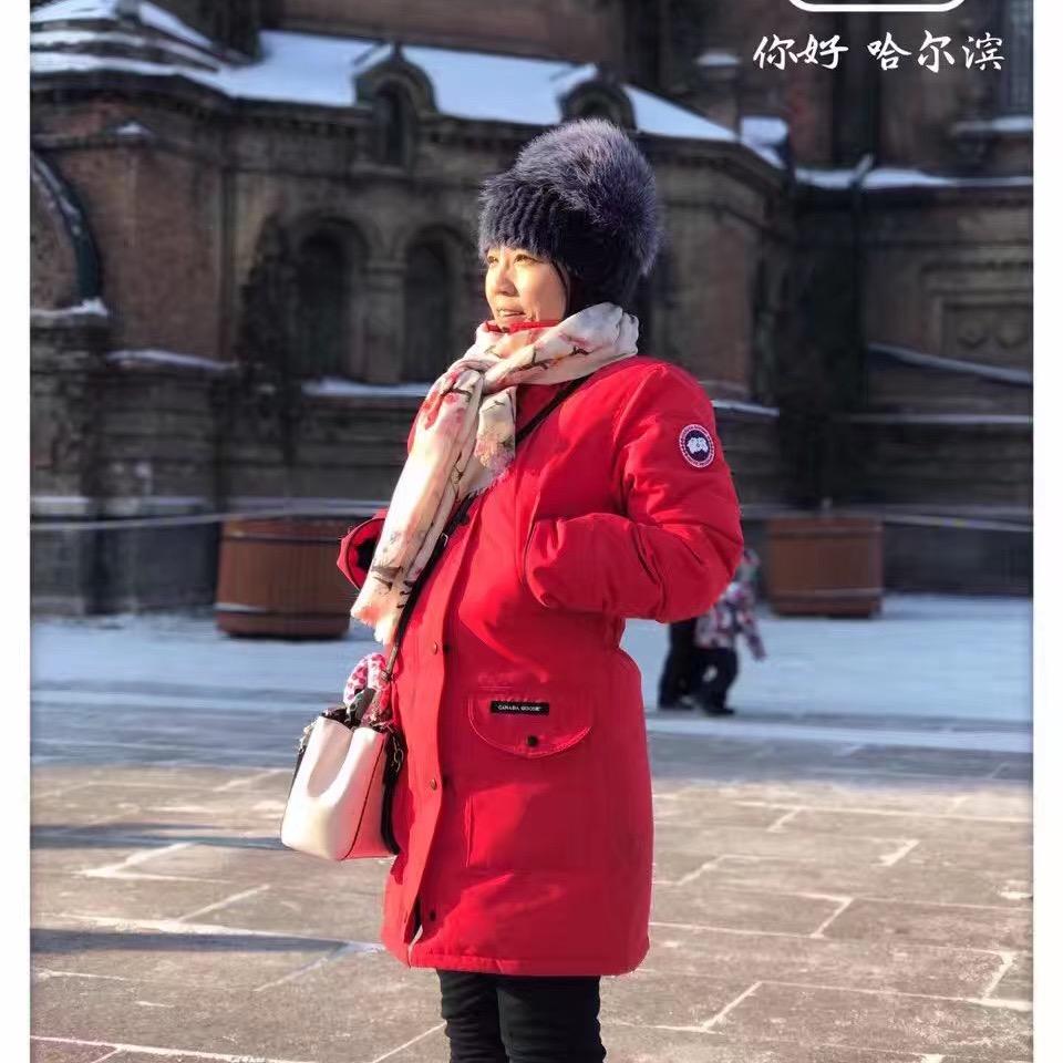 🌻境随心转🌻