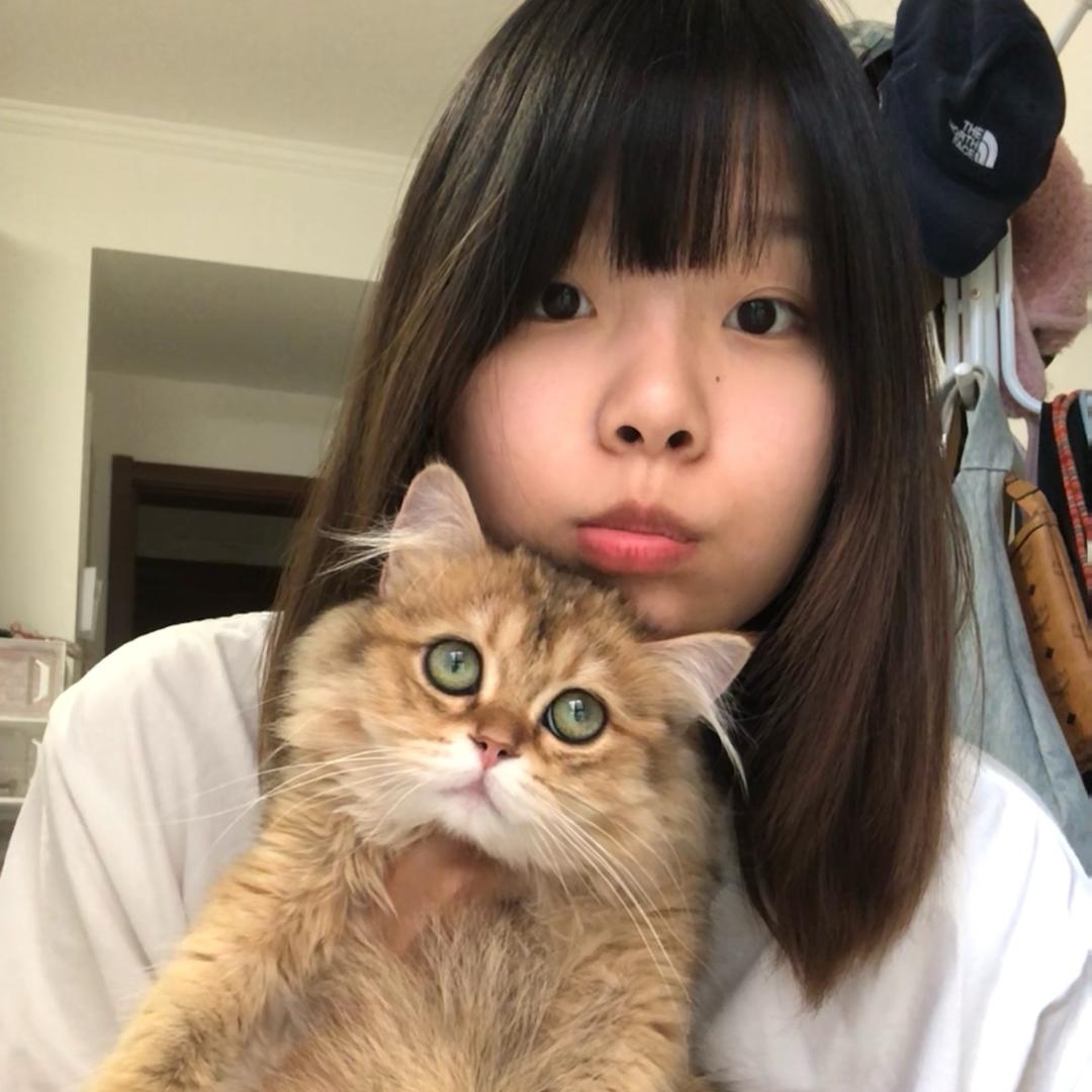 八宝和皓皓