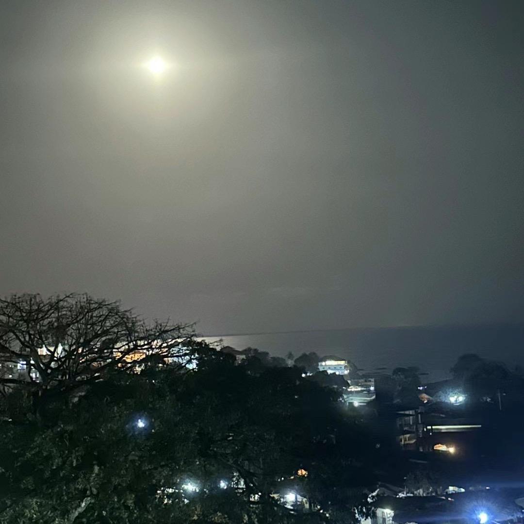 @小高哥