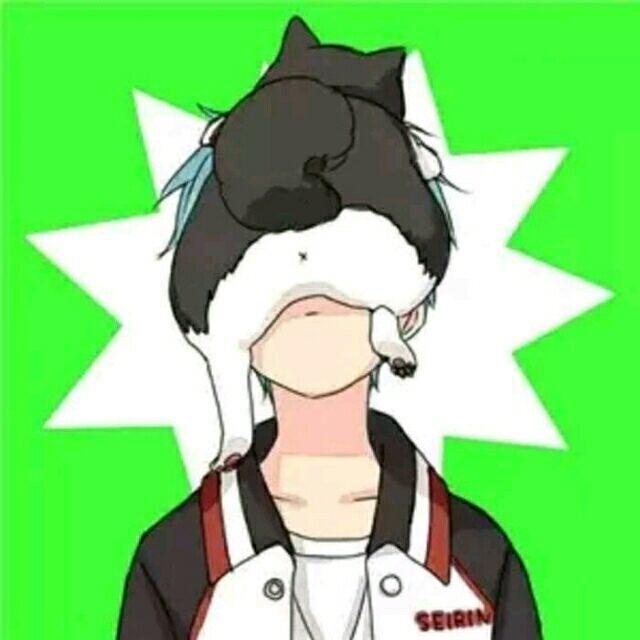 绿色健康小清新