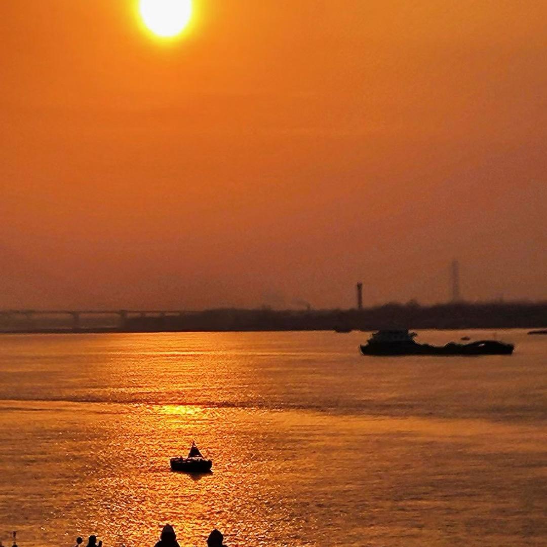 韩杨子（软装中）