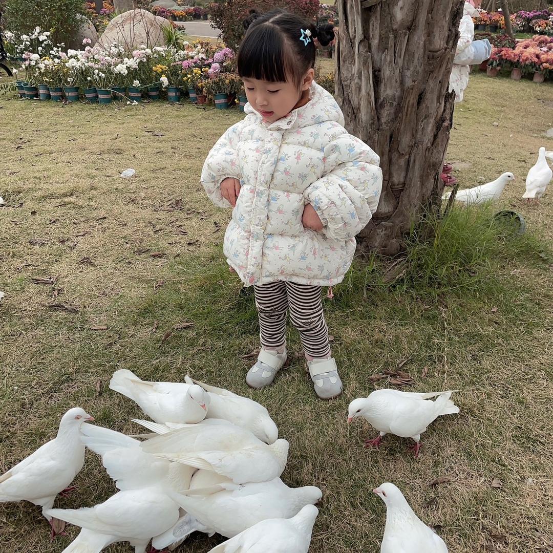 #地基基础施工@桩基施工